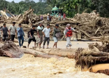 Tambang-Illegal Logging Picu Bencana Sumatera, Masyarakat Adat Minta Bahlil dan Raja Juli Dicopot!