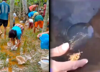 Ⓒ Hak cipta foto di atas dikembalikan sesungguhnya kepada pemilik foto