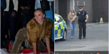 Ⓒ Hak cipta foto di atas dikembalikan sesungguhnya kepada pemilik foto