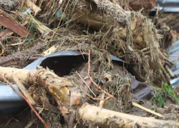 Bareskrim Selidiki Dugaan Kayu Illegal Logging yang Terbawa Banjir di Aceh, Sumut, dan Sumbar