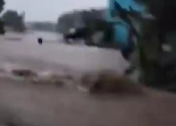 Ⓒ Hak cipta foto di atas dikembalikan sesungguhnya kepada pemilik foto