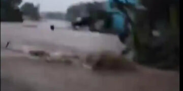 Ⓒ Hak cipta foto di atas dikembalikan sesungguhnya kepada pemilik foto