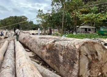 Ⓒ Hak cipta foto di atas dikembalikan sesungguhnya kepada sang pemilik foto Ⓒ Hak cipta foto di atas dikembalikan sesungguhnya kepada pemilik foto