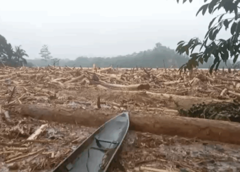 Kapolri Bentuk Tim Gabungan Usut Kayu Gelondongan yang Terbawa Arus Banjir di Sumatera