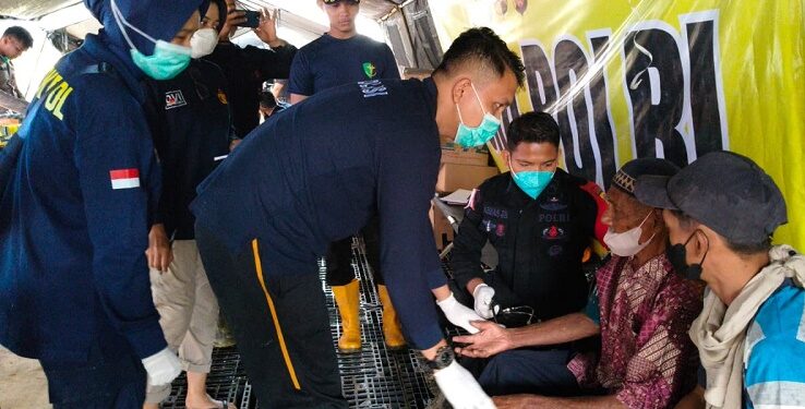 Ⓒ Hak cipta foto di atas dikembalikan sesungguhnya kepada pemilik foto