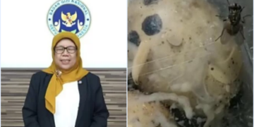 Ⓒ Hak cipta foto di atas dikembalikan sesungguhnya kepada pemilik foto