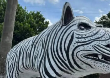 Ⓒ Hak cipta foto di atas dikembalikan sesungguhnya kepada sang pemilik foto Ⓒ Hak cipta foto di atas dikembalikan sesungguhnya kepada pemilik foto