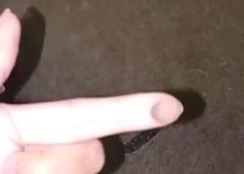 Sebaran Abu Vulkanik Gunung Anak Krakatau Terdeteksi Hingga Sumbar