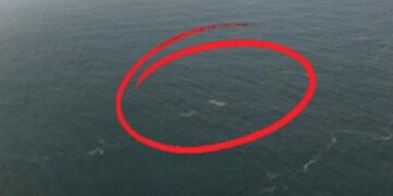 Viral Drone Disebut Temukan Kapal 5 Jurnalis Hilang di Sekitar Anak Krakatau, Tim SAR: Nihil